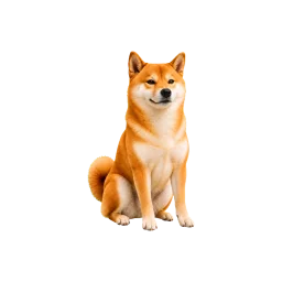 Shiba Inu