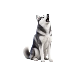 Husky