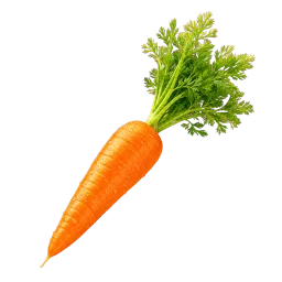 Carrot