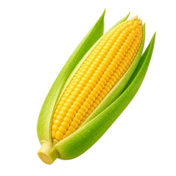 Corn