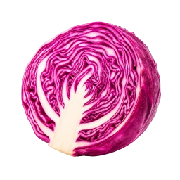 Red Cabbage
